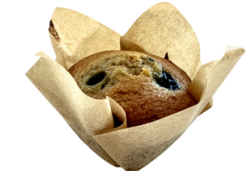 Snacks | Blueberry Protein Muffin